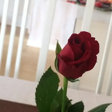 Romantika Koprivsjtitsa