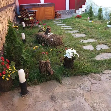 Romantika * Koprivsjtitsa
